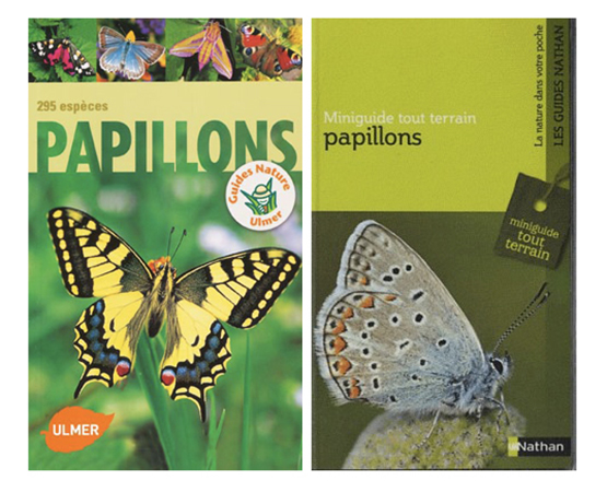 guides papillons